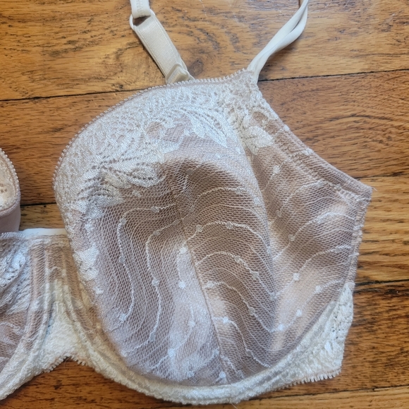 Wacoal Absolute Elegance Contour bra - Picture 2 of 5